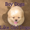 horse girl gif
