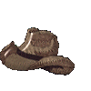 2026-08-29-howdyhat.gif